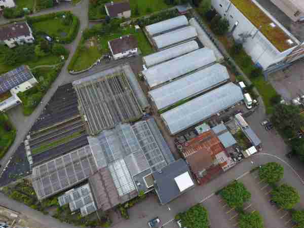 200-Blumen-Jerg-Geschichte-Standort