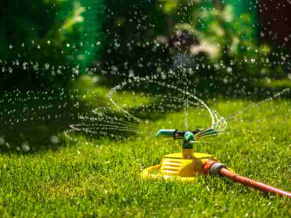 Bewaesserung-Blumen-Jerg-955415878