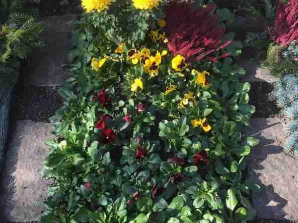 Grabunterhalt-Blumen-Jerg_4435