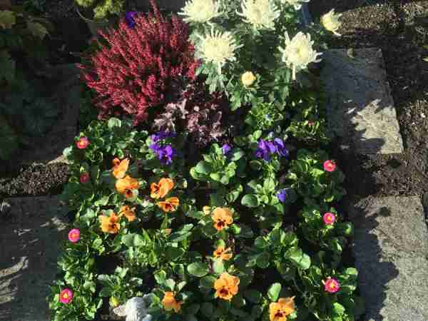 Grabunterhalt-Blumen-Jerg_4453
