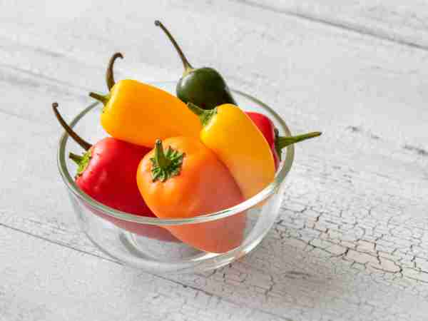 Paprika-Blumen-Jerg-1273358033