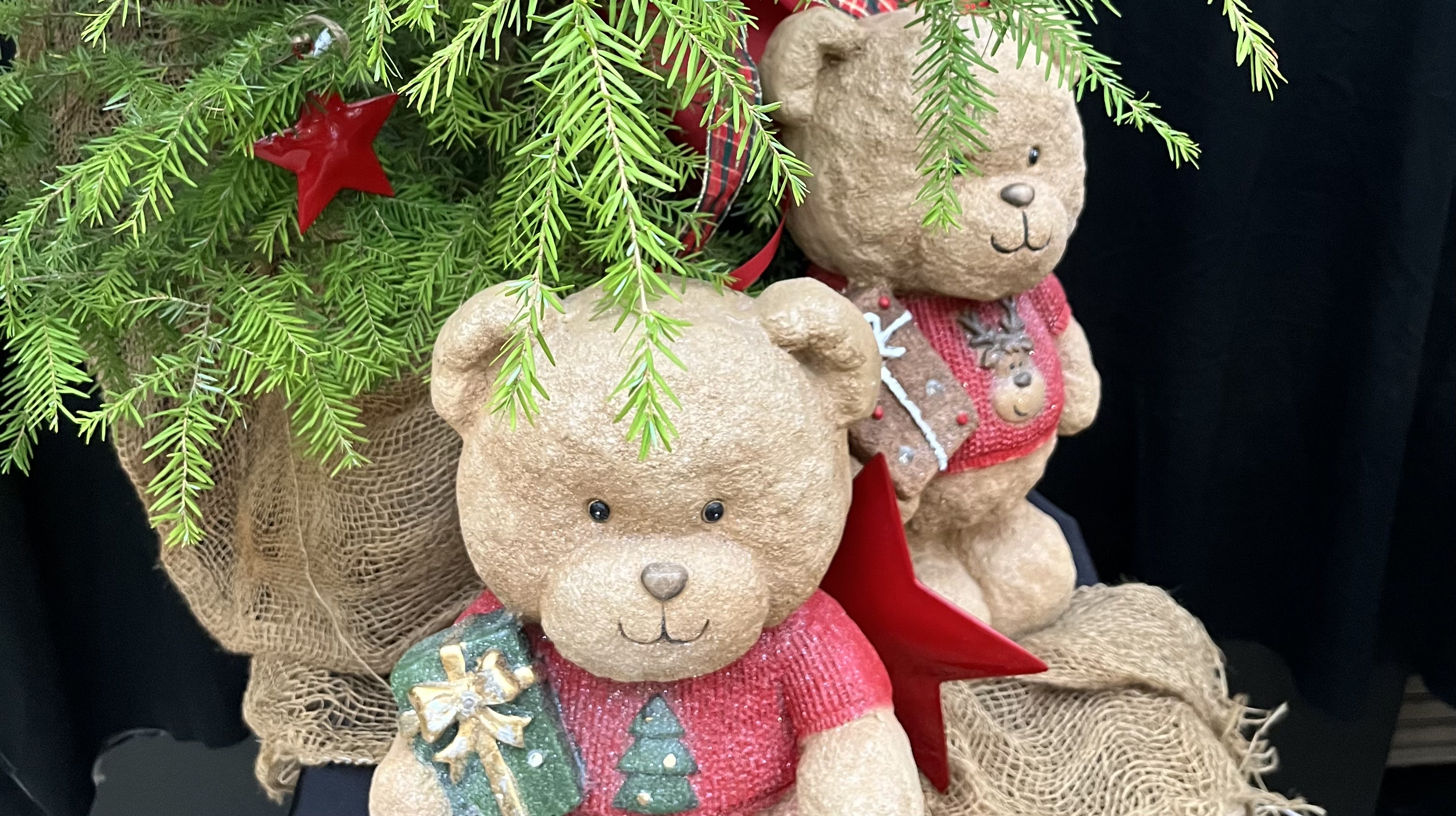 Weihnachten bei Blumen Jerg